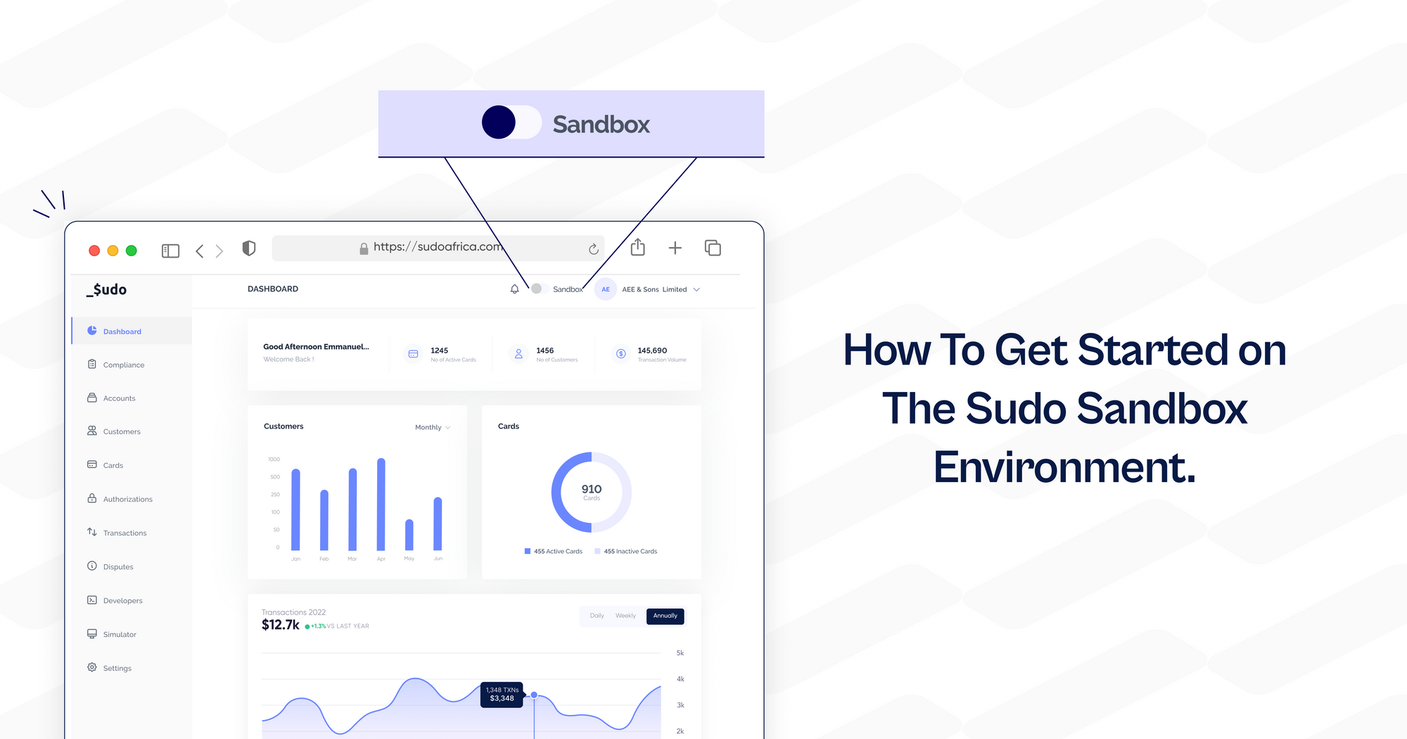 How To Get Started on The Sudo Sandbox Environment