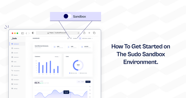 How To Get Started on The Sudo Sandbox Environment